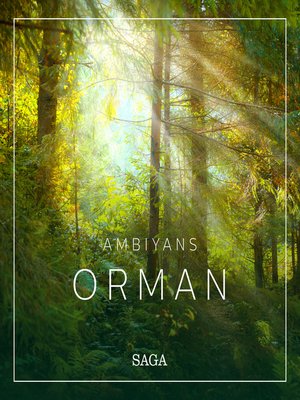 cover image of Ambiyans--Orman